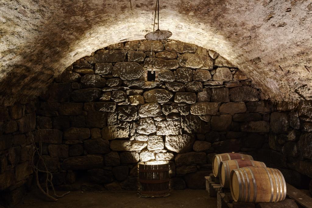 Schloss Plars Wine & Suites Lagundo Esterno foto